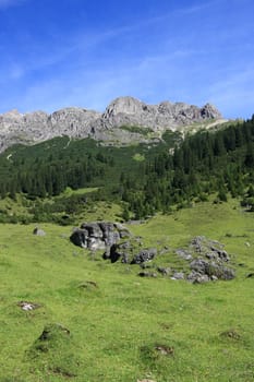 Green meadows and beautiful mountains. Austrian Alps landscape. Lechtal Alps group.