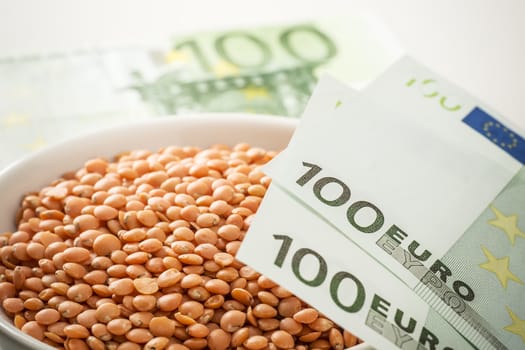 Bowl of shell with three one hundred Euro notes on white background