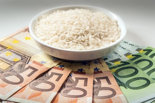 Bowl of rice with three one hundred and four fifty euro notes on white background