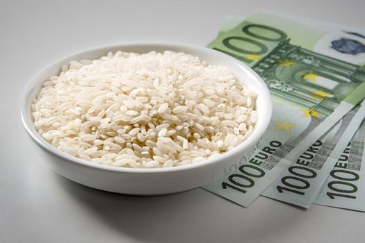 Bowl of rice with three hundred Euro bills on white background