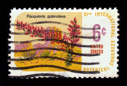 USA - CIRCA 1969: A stamp printed in USA shows desert plant Ocotillo - Fouquieria splendens Engelm, dedicated to 11th International Botanical Congress, Seattle 1969, circa 1969