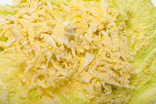 fresh savoy cabbage  isolated on white background
