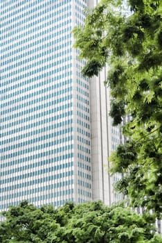 skyscraper with windows and glass and steel