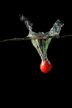 Colored red paprika in water splashes on black background