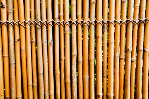 old bamboo texture