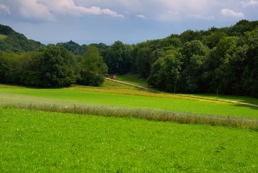 a little road with field and sky