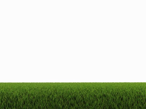 3d rendered of green grass on white background