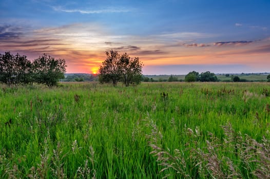 Sunset over field of grass