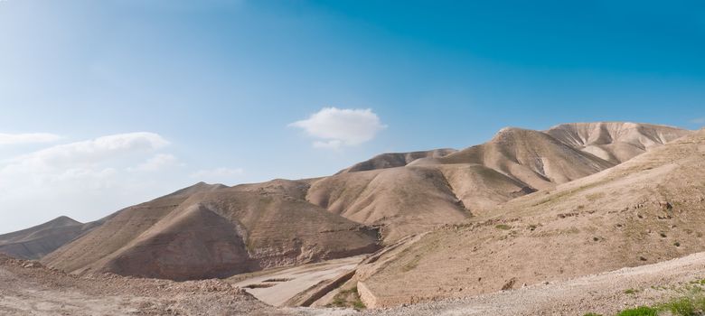 Judean Desert, under the scorching rays of the sun. Israel. Spring.