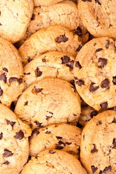 chocolate cookies