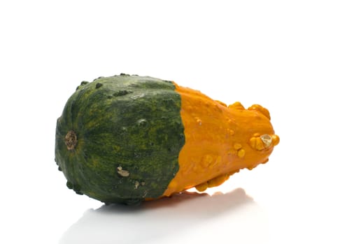 One big orange green pumpkin in closeup over white background