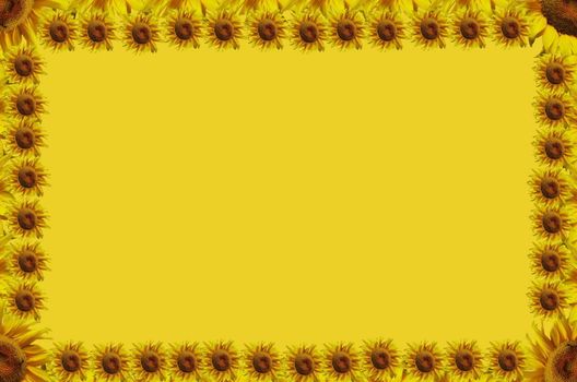 Sunflowers abstract frame