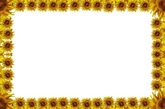 Sunflowers abstract frame