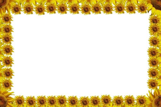 Sunflowers abstract frame