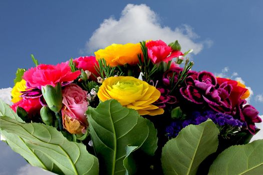 Bouquet of various flowers  on blue sky background