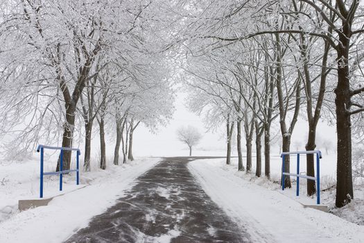 Empty road in winter