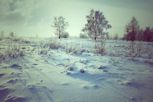 Evening winter park in snow against blue sky
