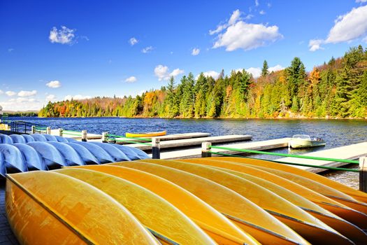 Canoes for rent on fall lake in Algonquin Park, Ontario, Canada