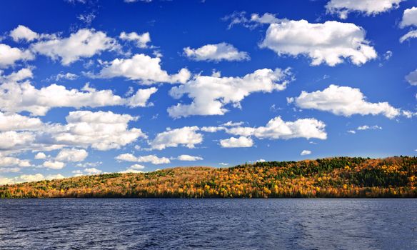Forest of colorful autumn trees with lake in Algonquin Park, Canada