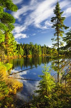 Evergreen forest and sky reflecting in calm lake at Algonquin Park, Canada