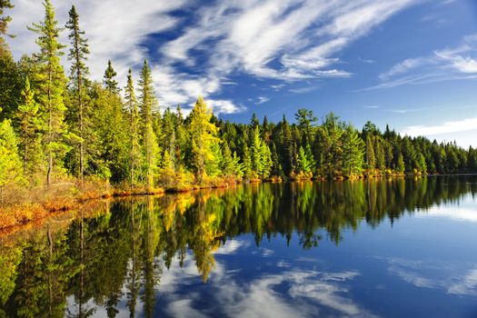 Beautiful forest reflecting on calm lake shore at Algonquin Park, Canada