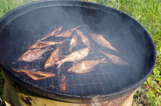 closeup of fish smoking for food in retro rusty barrel