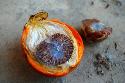 Tropical fruit macro shot, Thailand