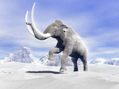 Big mammoth walking slowly in the snowy mountain against the wind