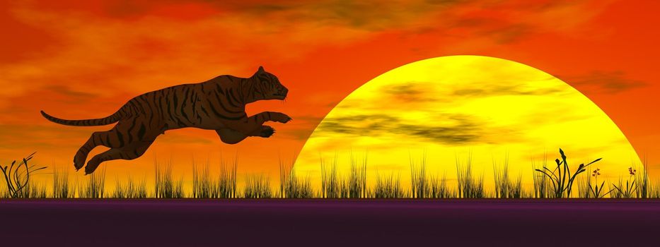 Tiger jumping to the sun in wild landscape by red sunset