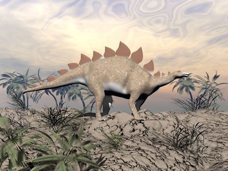 Big stegosaurus dinosaur standing on a hill in the desert next to palm trees and looking at the horizon