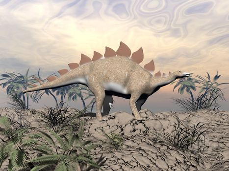 Big stegosaurus dinosaur standing on a hill in the desert next to palm trees and looking at the horizon