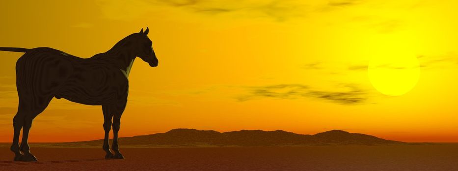 Calm horse standing in the desert while contemplating sunset upon the hills