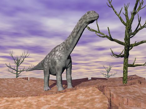 Argentinosaurus dinosaur standing on the cracked desert ground next to dead trees by cloudy weather