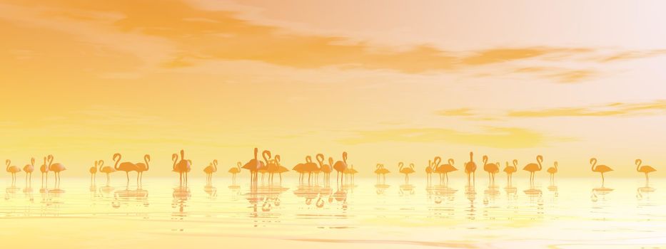 Flock of flamingos standing peacefully in the water by orange sunset