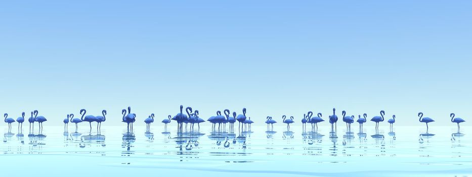 Flock of flamingos standing peacefully in the water by foggy sunset