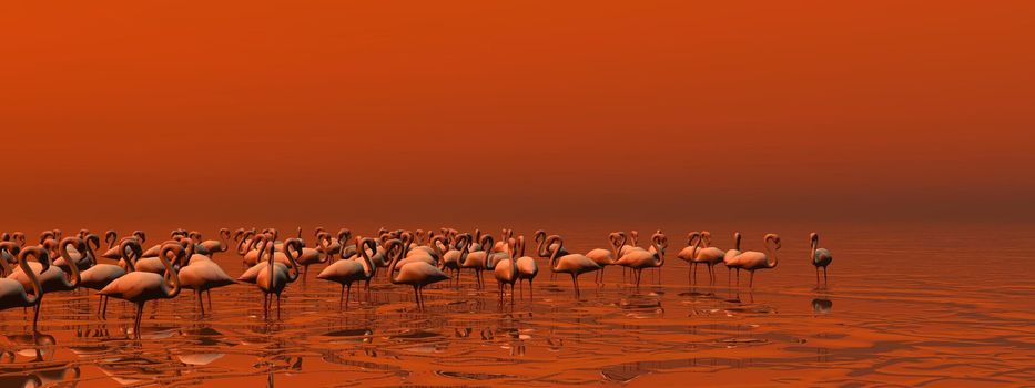 Flock of flamingos standing peacefully in the water by red sunset