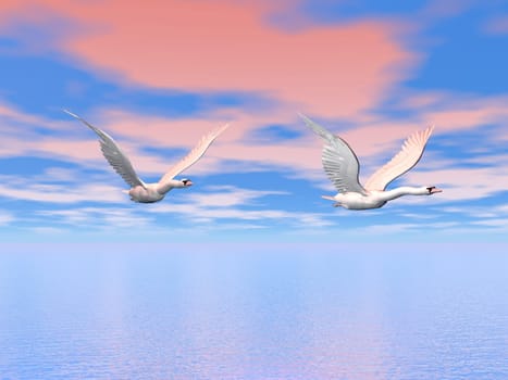 Two beautiful swans flying in colorful pink and blue sky upon the ocean