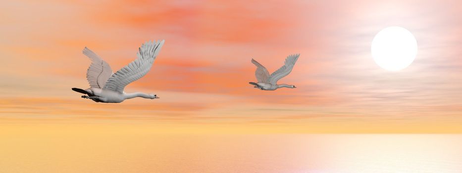 Two beautiful swans flying upon the ocean toward the sun by sunset