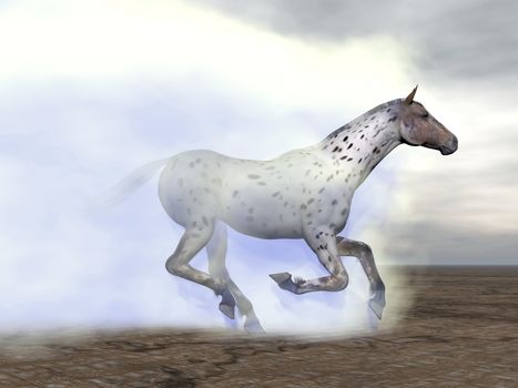 Beautfiul leopard horse running among fog and clouds