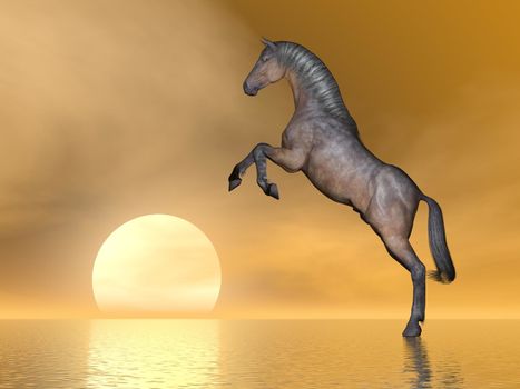 Beautiful brown horse rearing on the ocean next to the sun