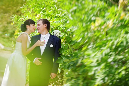 bride and groom near the bush