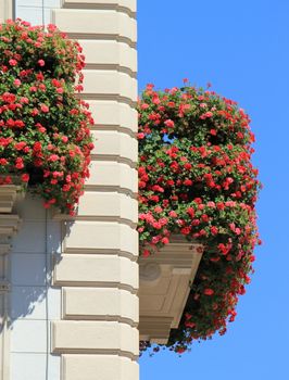 Lots of red geranium flowers at balconies, Lugano, Ticino, Switzerland