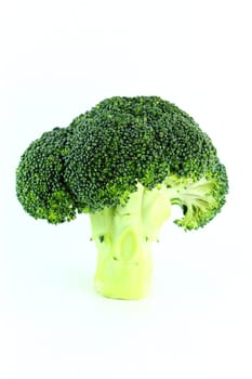 Fresh broccoli in closeup