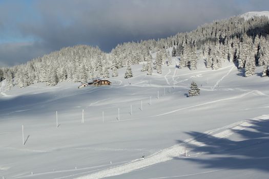 Beautiful fir trees covered with snow in front of little house in the Jura mountain by cloudy day of winter, Switzerland