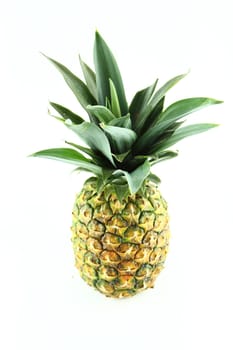 ripe pineapple isolated on white background