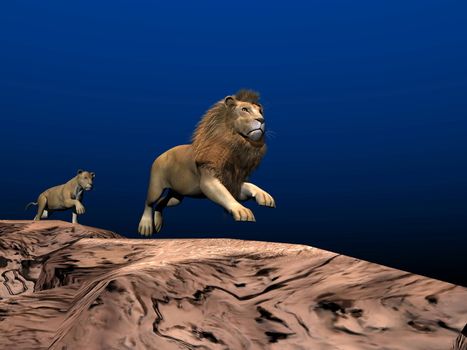 Lion and lioness running in the desert by night