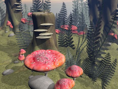 Many fly agaric mushrooms, leaves and stones in the forest