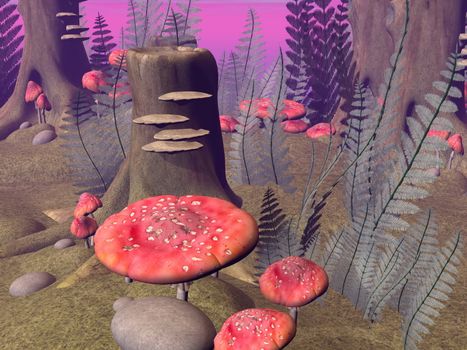 Many fly agaric mushrooms, leaves and stones in the forest by sunset