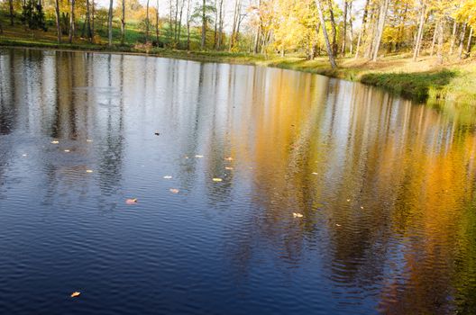 autumn leaves in lake pond water and colorful trees reflections.