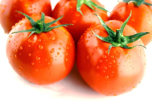 fresh tomatoes with green leaves and water drops on white background